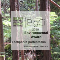 2019 Bigci Environmental Award