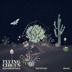 Doctor Dru - Wahah ( Flying Circus ) snippet out on 27th of Sept