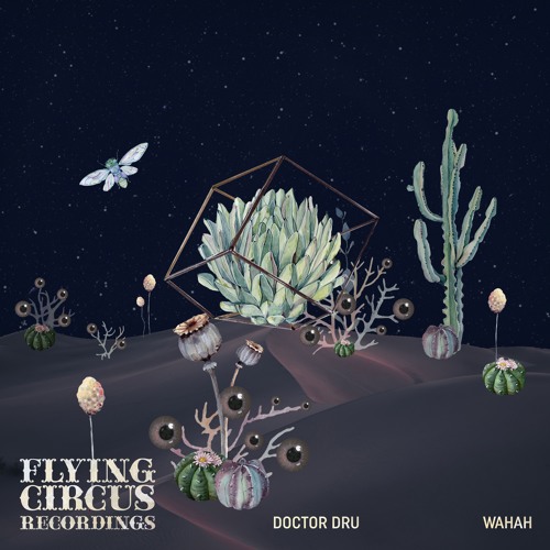 Doctor Dru - Wahah ( Flying Circus ) snippet out on 27th of Sept