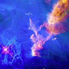 PsyChill 7