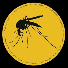 Erlenmeyer - Behind The Mask (Released on Yellow Fever 07)
