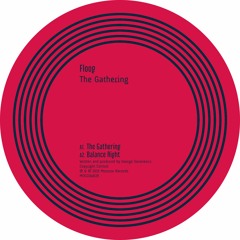 Floog - The Gathering