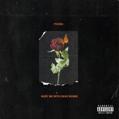 PHORA - Where Did We Go Wrong