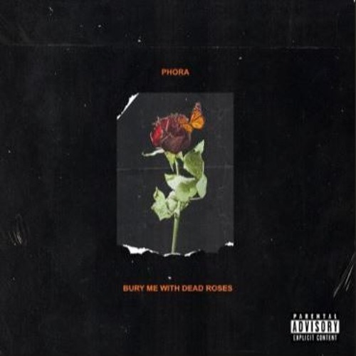PHORA - Where Did We Go Wrong