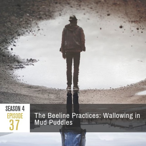 Season 4 Episode 37 - The Beeline Practices: Wallowing in Mud Puddles