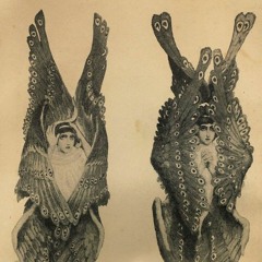 seno / dakhabrakha remix