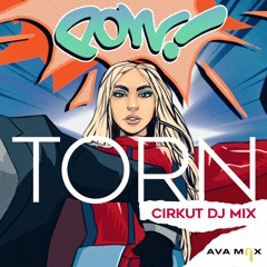 Torn (Cirkut DJ Mix)