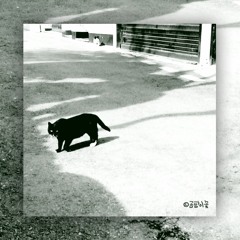 곰팡이꽃-사랑까지는 바라지도 않았어 I Didn't Even Want Love (Rode VideoMic Me Recording)