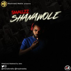 Smallzz - Shanawole [Prod. by Stunna]