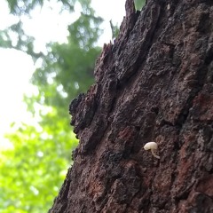 Aaj jaane ki zid na karo 2019-09-22.wav