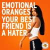 下载视频: Your Best Friend is a Hater