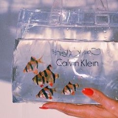 也許 Maybe - 左乙 ZOEE