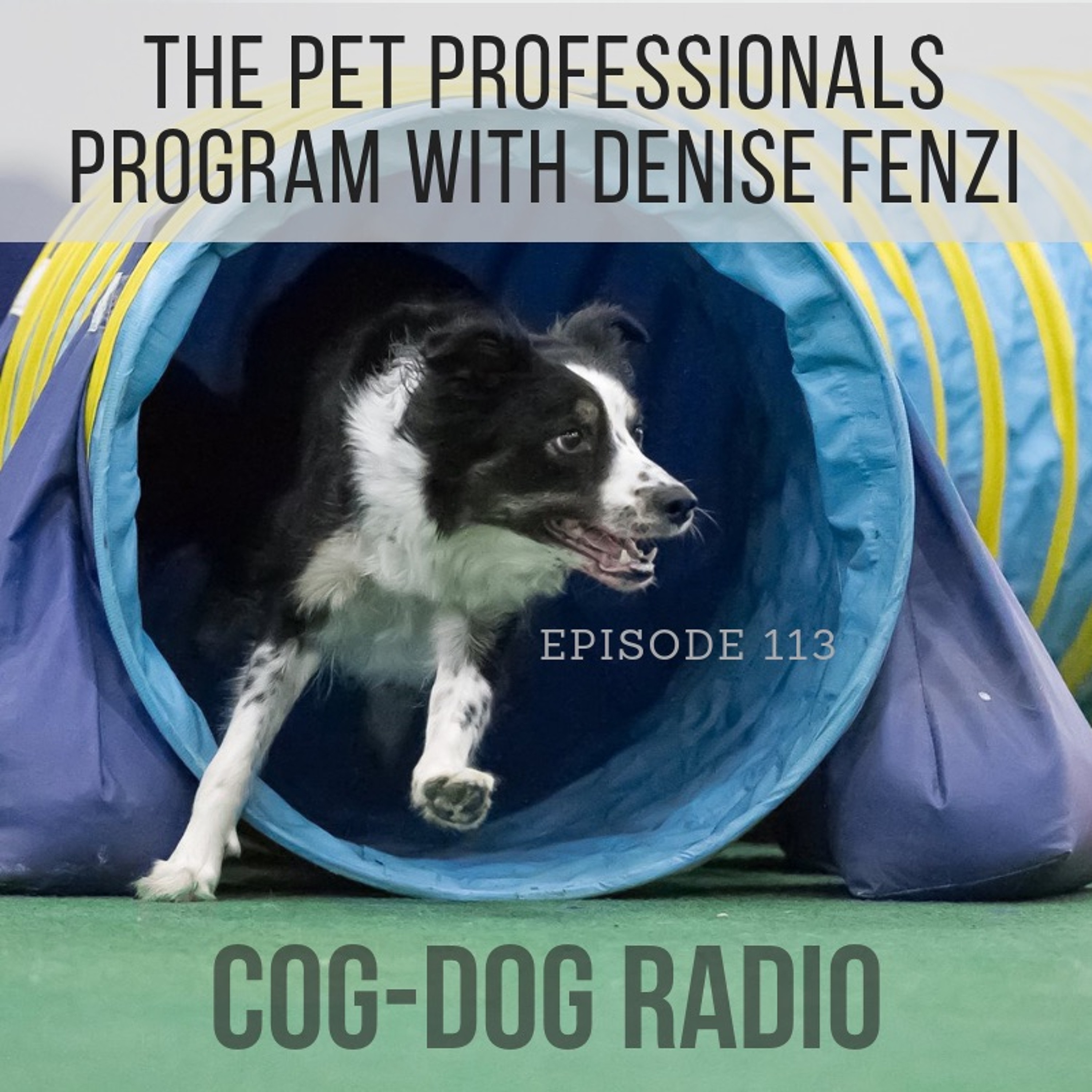 Cog-Dog Radio