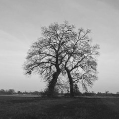 New & hot: Classical