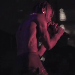 goosebumps live at gov ball