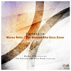 Partenaire - The Horizon She Once Knew (Original Mix)