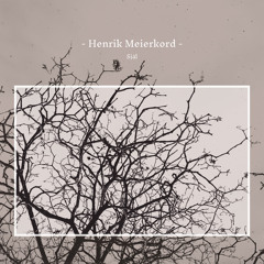 Henrik Meierkord - Ren Och Fin