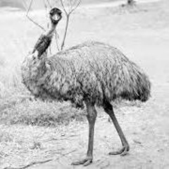 Why Are You So Down?