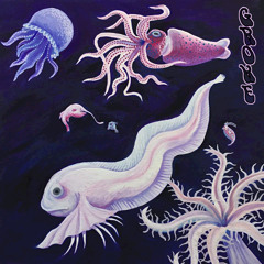 Rock Bottom // The Ethereal Snail Fish (feat Hal Sutherland)