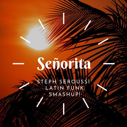 CAMILA & SHAWN - SEÑORITA (STEPH SEROUSSI LATIN FUNK SMASHUP)