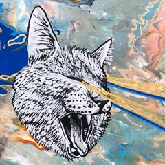 37 minutes of unreleased zipse