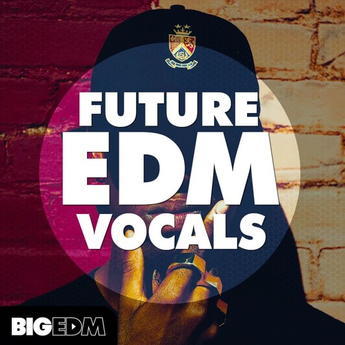 2.2 GB Of Acapellas and Vocal Loops | Future EDM Vocals