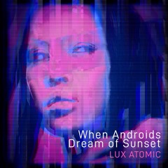 When Androids Dream Of Sunset