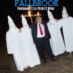 Fallbrook ft Lil PeeDy & Wigg