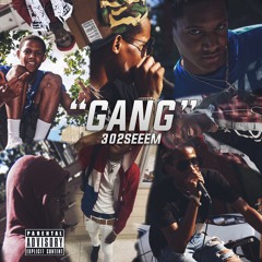 Gang