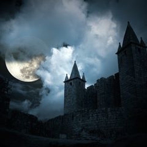 The Secret Elegant Assassin #2348