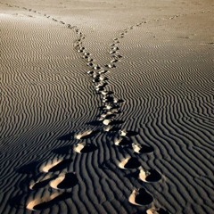Crossing Paths