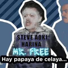 STEVE AOKI  HARINA (MR FREE BOOTLEG)