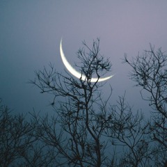 Fly Me To The Moon cover by Matt Damon