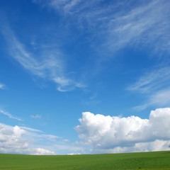 racehorse (thin cigarette)demo