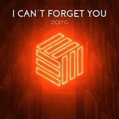 Zicky G - I Can't Forget You