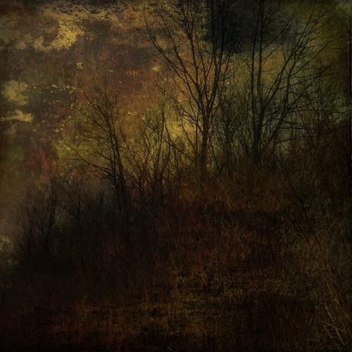 Psytrance211 (WIP Darkprog)