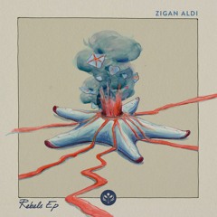 Zigan Aldi - Magenta