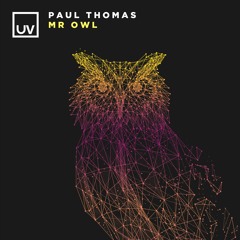 Paul Thomas - Mr Owl [UV]
