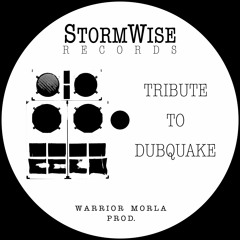 Tribute To Dubquake - Vinyl Preview