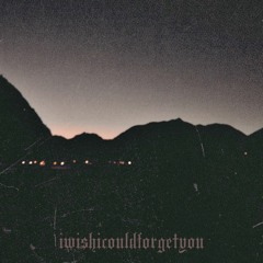 iwishicouldforge†you