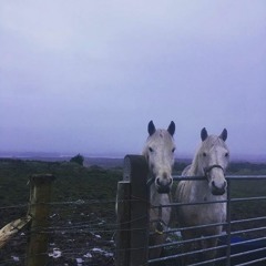 Ten Minute Meditation