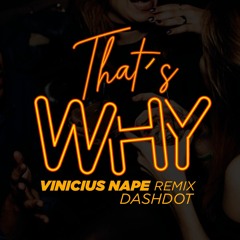 Dashdot - That's Why (Vinicius Nape Remix)