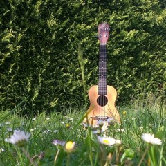 La Gitanita ('19/08)