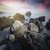 Artwork for Falling Into Place (with Annie Smart)
