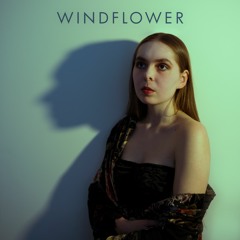 Windflower