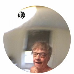 ERRORS, ISSUES, INSANE