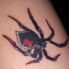 TOXIC ((cover)) by Beeca