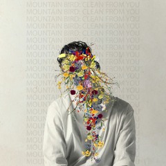 Clean From You
