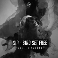 Sia - Bird Set Free (Udex Hardstyle Bootleg)
