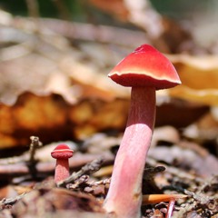 The First Day Of Autumn